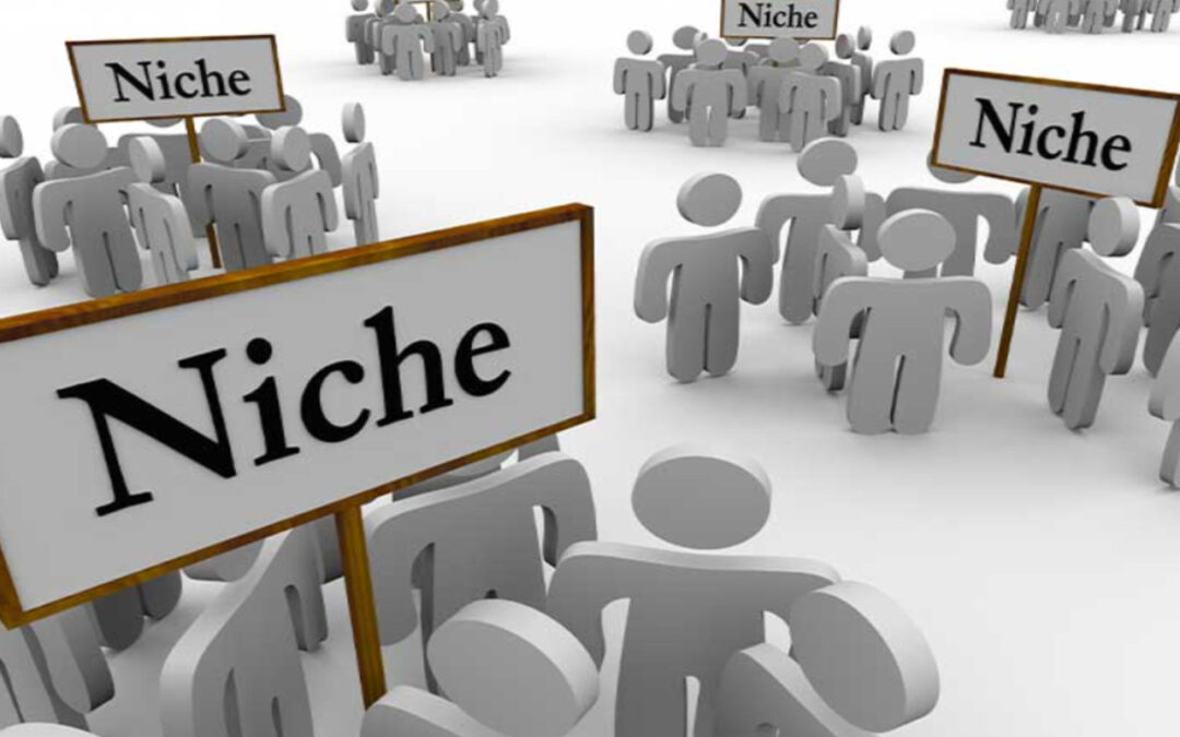 Understanding Niche Relevance: Why Niche Edits Matter in Link Building