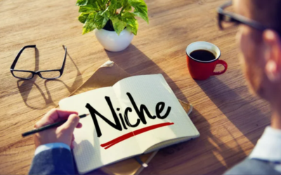 Assessing Niche Authority of Websites: Trustworthiness of Niche Websites